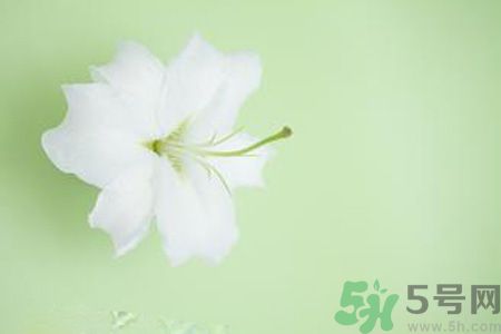 春季咳嗽怎么辦？春季咳嗽吃什么好？