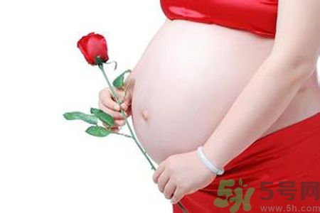孕婦可以吃枸杞嗎？孕婦吃枸杞好嗎？
