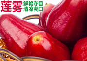 咳嗽能吃蓮霧嗎？蓮霧咳嗽可以吃嗎？
