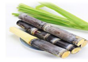 清明節可以吃甘蔗嗎？清明節不能吃哪些食物？