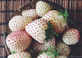 菠蘿莓好吃嗎？菠蘿莓好不好吃？