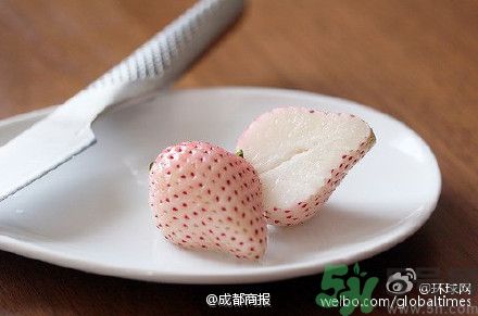 菠蘿莓好吃嗎？菠蘿莓好不好吃？
