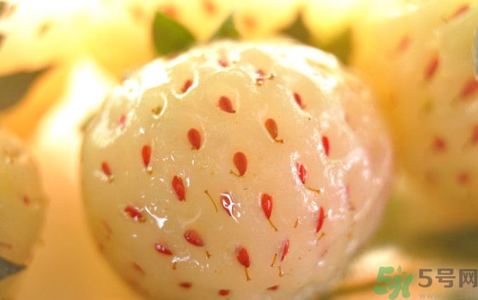 菠蘿莓的營養價值和功效 吃菠蘿莓有什么營養