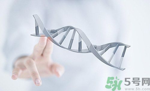 糖尿病會遺傳嗎？糖尿病會遺傳給胎兒嗎？