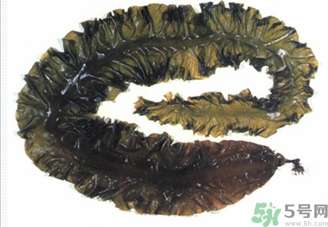 海帶用冷水泡還是熱水泡發(fā)？海帶怎么泡才不會發(fā)硬？