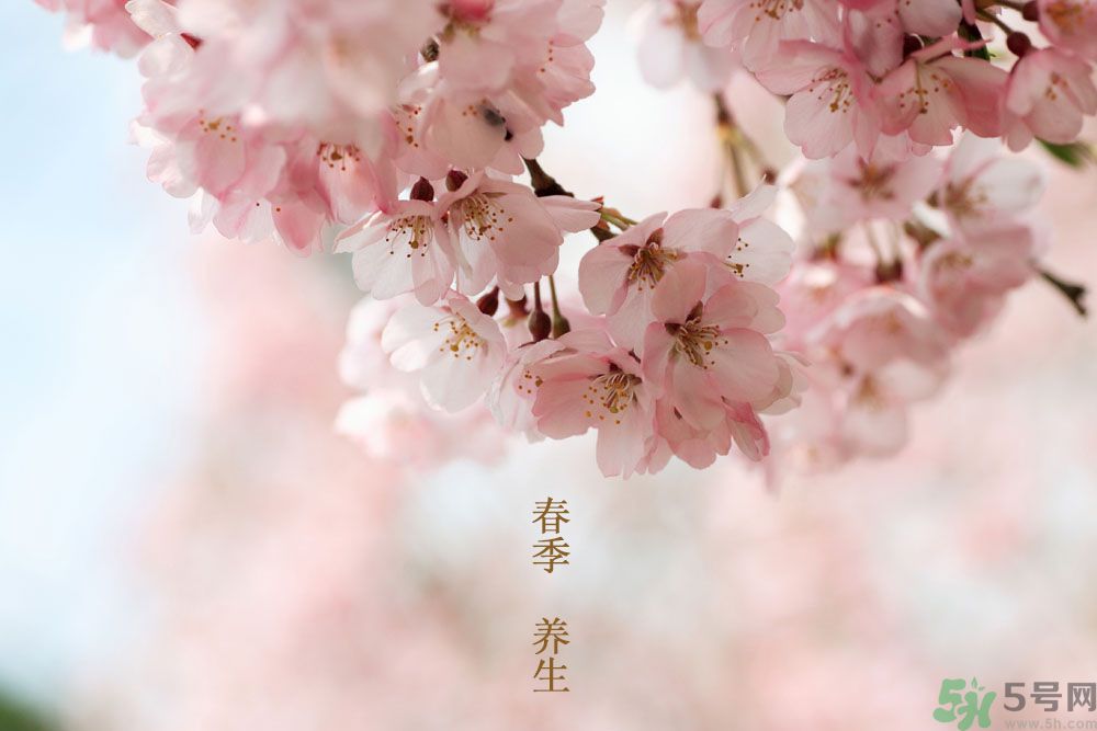 女性春季養(yǎng)生吃什么？女性春季怎么養(yǎng)生？