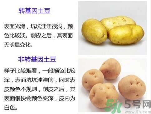 土豆變綠還能吃嗎？土豆變綠有什么危害？