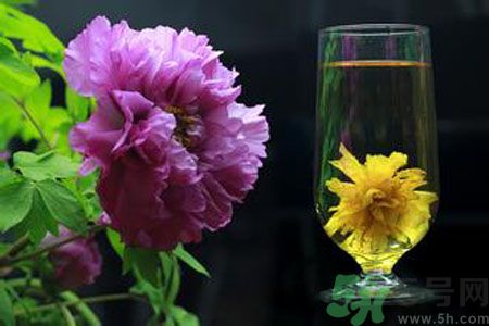 牡丹花可以和菊花一起泡嗎？牡丹花和菊花一起泡茶好嗎？