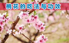 2018情人節怎么快速脫單？脫單法則之桃花手鏈