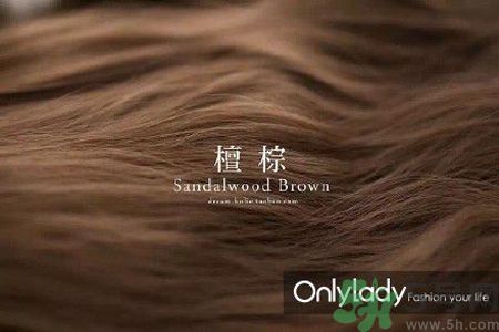 九大染發色系有哪些？哪種染發色系最適合女生？