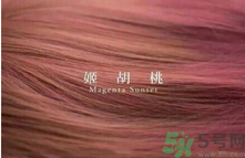 九大色系染發(fā)要怎么選擇？九大色系染發(fā)有什么要求？