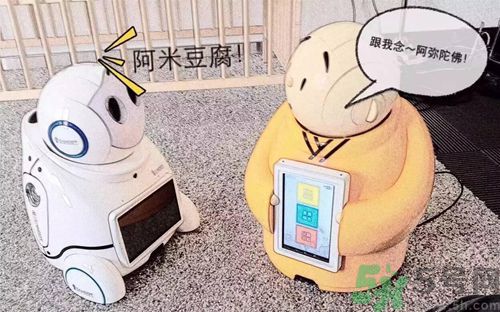 機器僧哪里可以買到？機器僧多少錢？