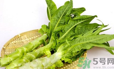 萵苣是什么菜?萵苣是什么季節的菜?.png