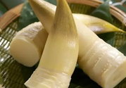 春筍是發物嗎?春筍是不是發物?