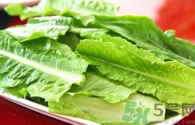 孕婦能吃萵筍葉嗎？孕婦吃萵筍葉好不好？