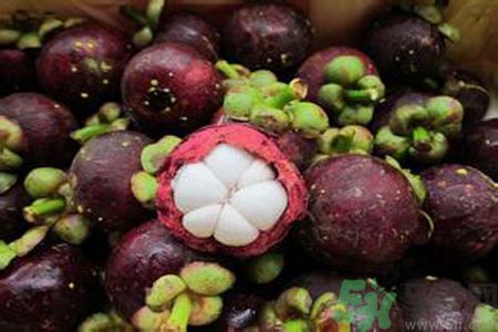 山竹可以和牛奶一起吃嗎？山竹和牛奶一起吃好嗎？