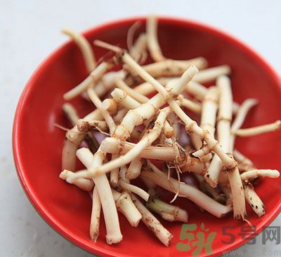 魚腥草可以和雪梨冰糖煮水喝嗎？魚腥草雪梨煲有什么好？