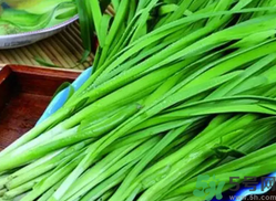 韭菜是辛辣食物嗎?韭菜是不是辛辣的食物?.png 韭菜是辛辣食物嗎?韭菜是不是辛辣的食物?.png