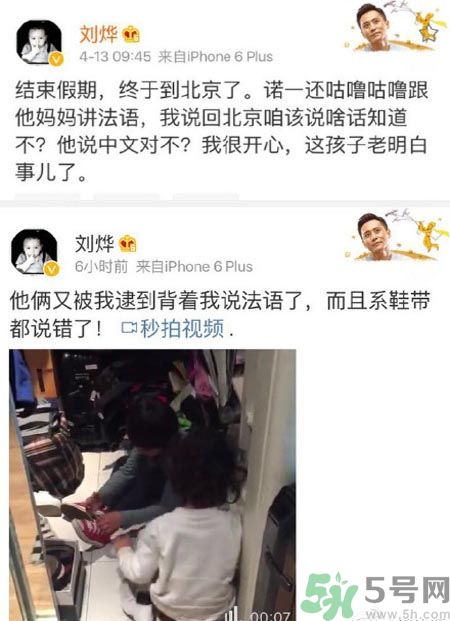 諾一雪梨是誰(shuí)？為什么叫諾一雪梨？