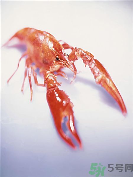 油燜大蝦為什么肉散了？油燜大蝦怎么做肉不散？