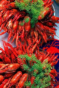 油燜大蝦用的是什么蝦？油燜大蝦用什么蝦最好？
