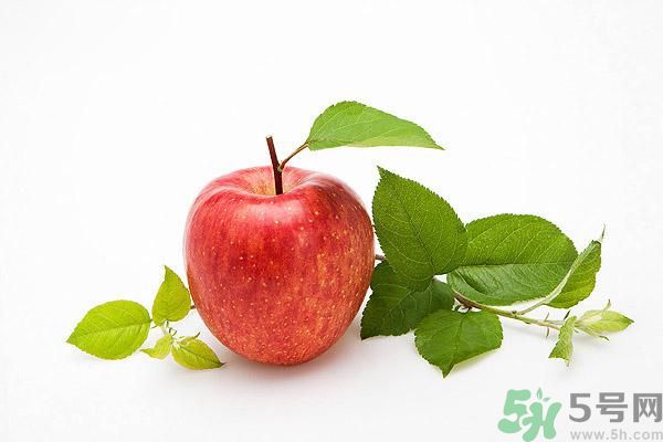晚上9點以后可以吃蘋果嗎？晚上吃蘋果好不好？