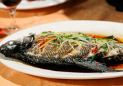 武昌魚是淡水魚嗎?武昌魚是不是淡水魚?