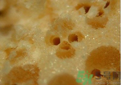 經常用一次性筷子可以嗎？一次性筷子有病毒嗎？