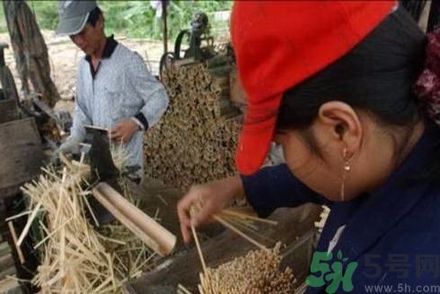 經常用一次性筷子可以嗎？一次性筷子有病毒嗎？