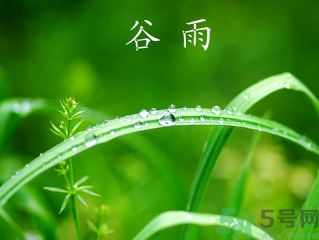 谷雨是什么意思?谷雨節氣有什么含義?