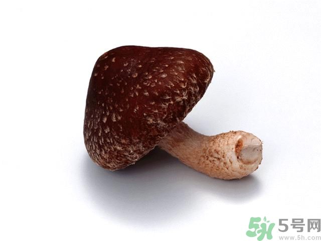西紅柿發青可以吃嗎？青西紅柿吃了好不好？