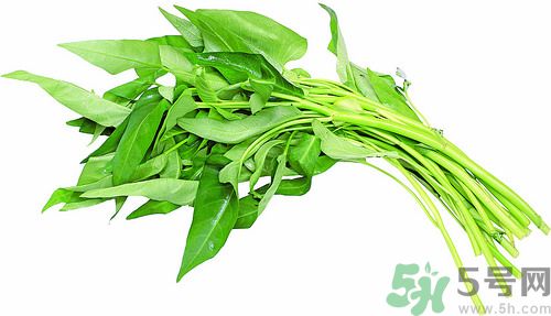 空心菜和雞能一起吃嗎？空心菜怎么吃有營(yíng)養(yǎng)？