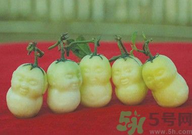 人參果怎么吃？人參果的營養價值有哪些？