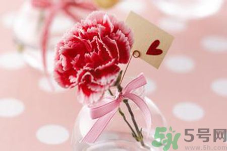 母親節(jié)送什么顏色的康乃馨？母親節(jié)應(yīng)該買什么顏色的康乃馨？