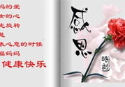 母親節(jié)送什么花好？母親節(jié)應該送什么鮮花？