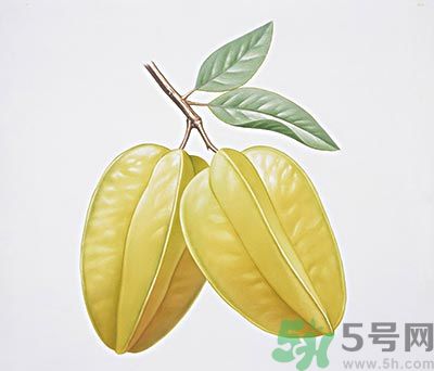 楊桃和什么不能一起吃？楊桃不能與什么同食？