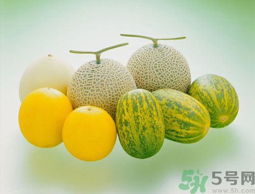 香瓜和甜瓜的區別是什么?香瓜和甜瓜營養價值誰高