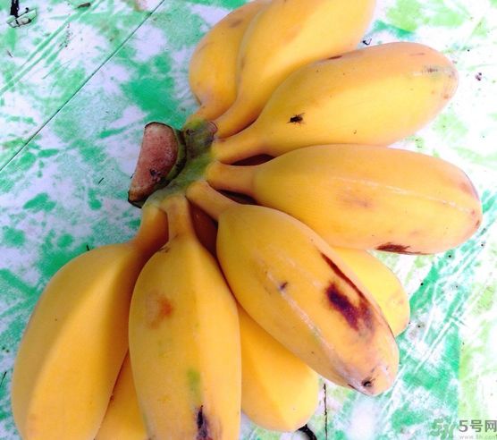 什么是牛奶蕉？牛奶蕉好吃嗎？