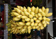 牛奶蕉是熱性還是涼性？牛奶蕉是涼性嗎？