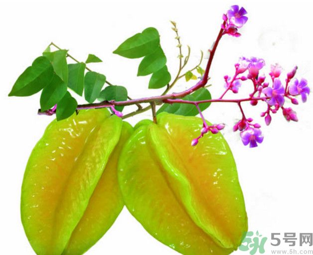慢性腎炎可以吃楊桃嗎？慢性腎炎吃楊桃好嗎？