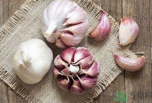 提高記憶力要吃什么食物？吃什么食物提高記憶力？