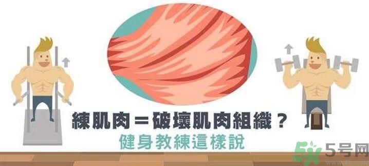 練肌肉會破壞肌肉組織嗎？練肌肉要注意什么呢？