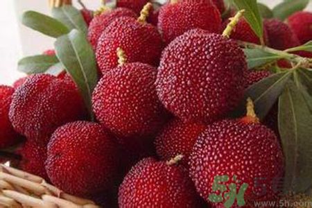 胃潰瘍可以吃楊梅嗎？胃潰瘍吃楊梅好嗎？