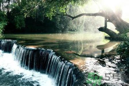 為什么夏至有雨三伏熱？夏至有雨三伏熱是什么意思？
