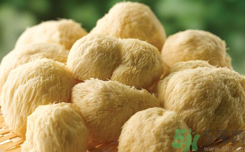 吃猴頭菇有什么好處？猴頭菇有什么營養價值？