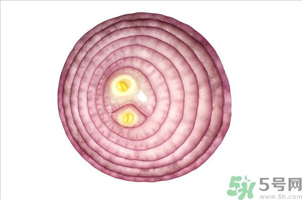 吃洋蔥上火嗎？吃洋蔥會上火嗎？