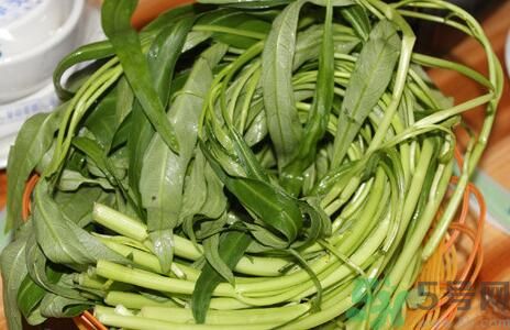 空心菜吃葉子還是吃桿？空心菜吃葉子好嗎？