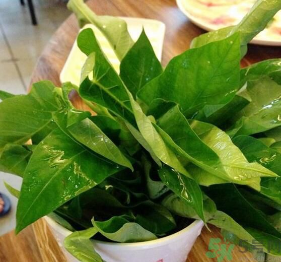 空心菜泡水了還能吃嗎？泡水的空心菜可以吃嗎？
