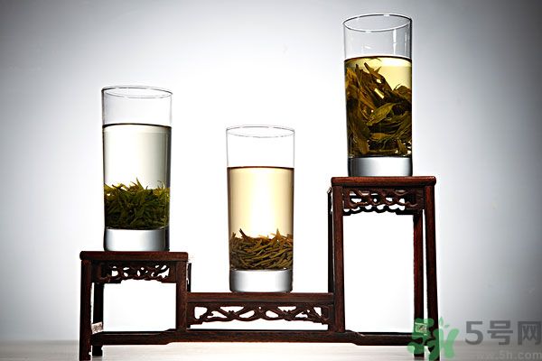 茯苓和苦丁茶能一起泡嗎？茯苓可以和苦丁茶一起喝嗎？