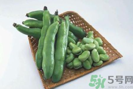 蠶豆是熱性還是涼性？蠶豆是熱性的嗎？